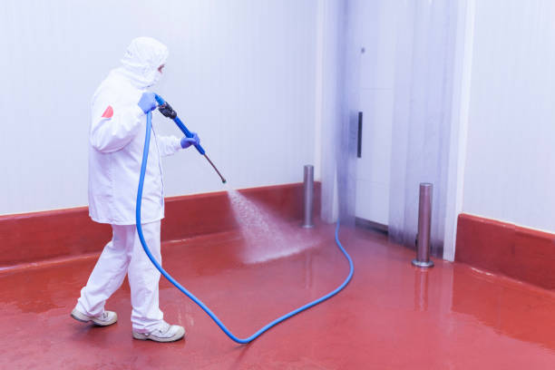 Clearwater, MN Pressure Washing Services Company